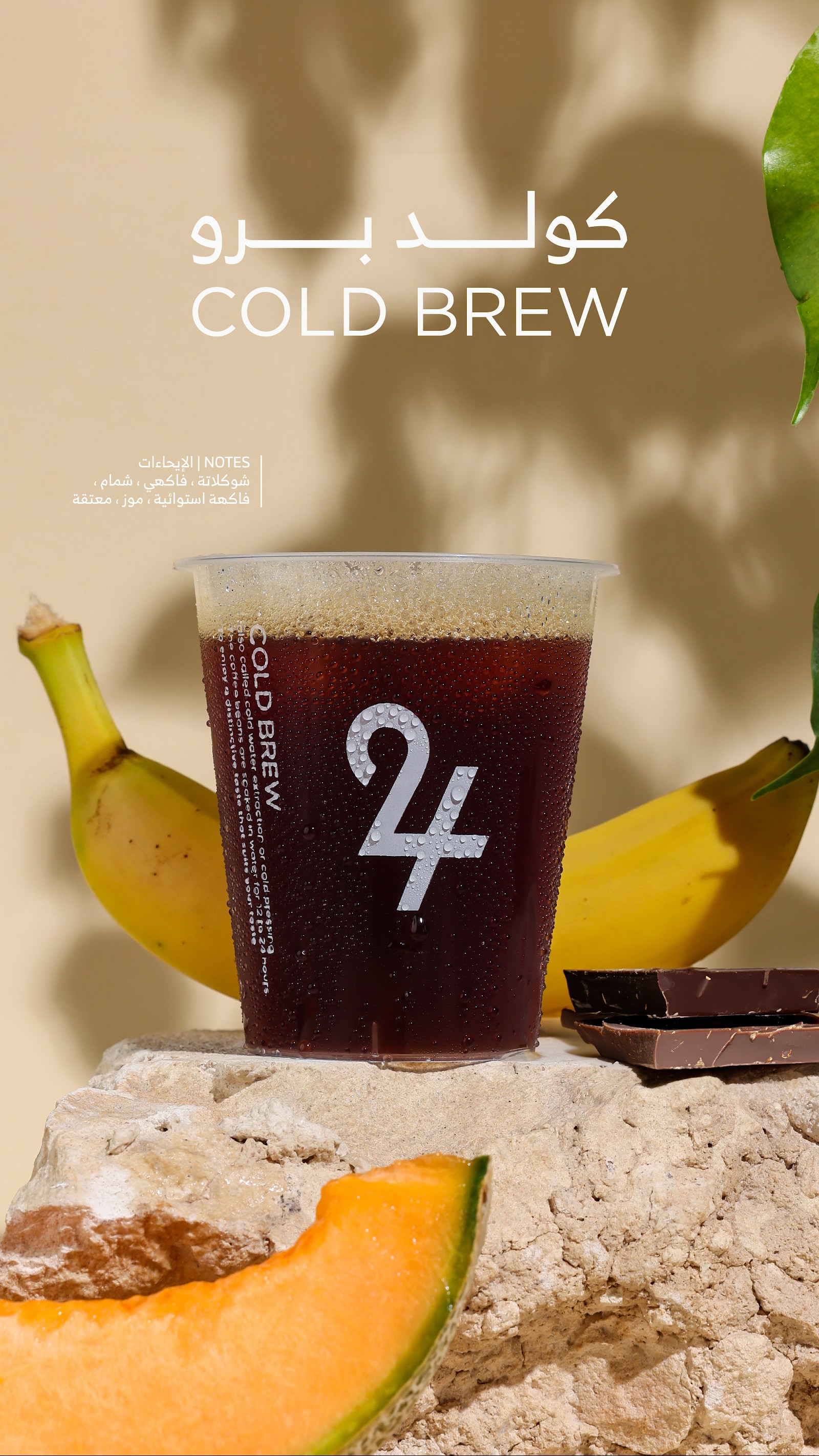 24Cafe — الجامعة — صورة 3