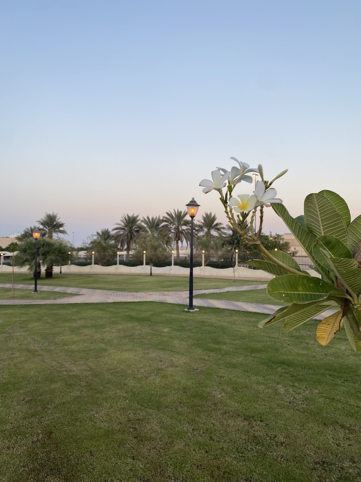حديقة الإسكان — صورة 3