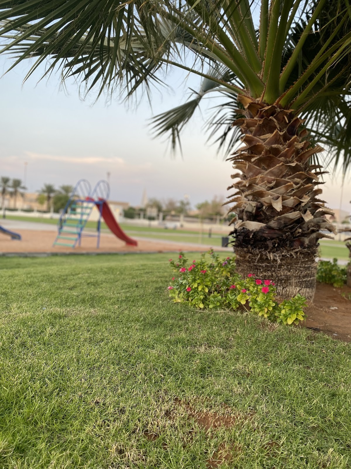 حديقة الإسكان — صورة 2