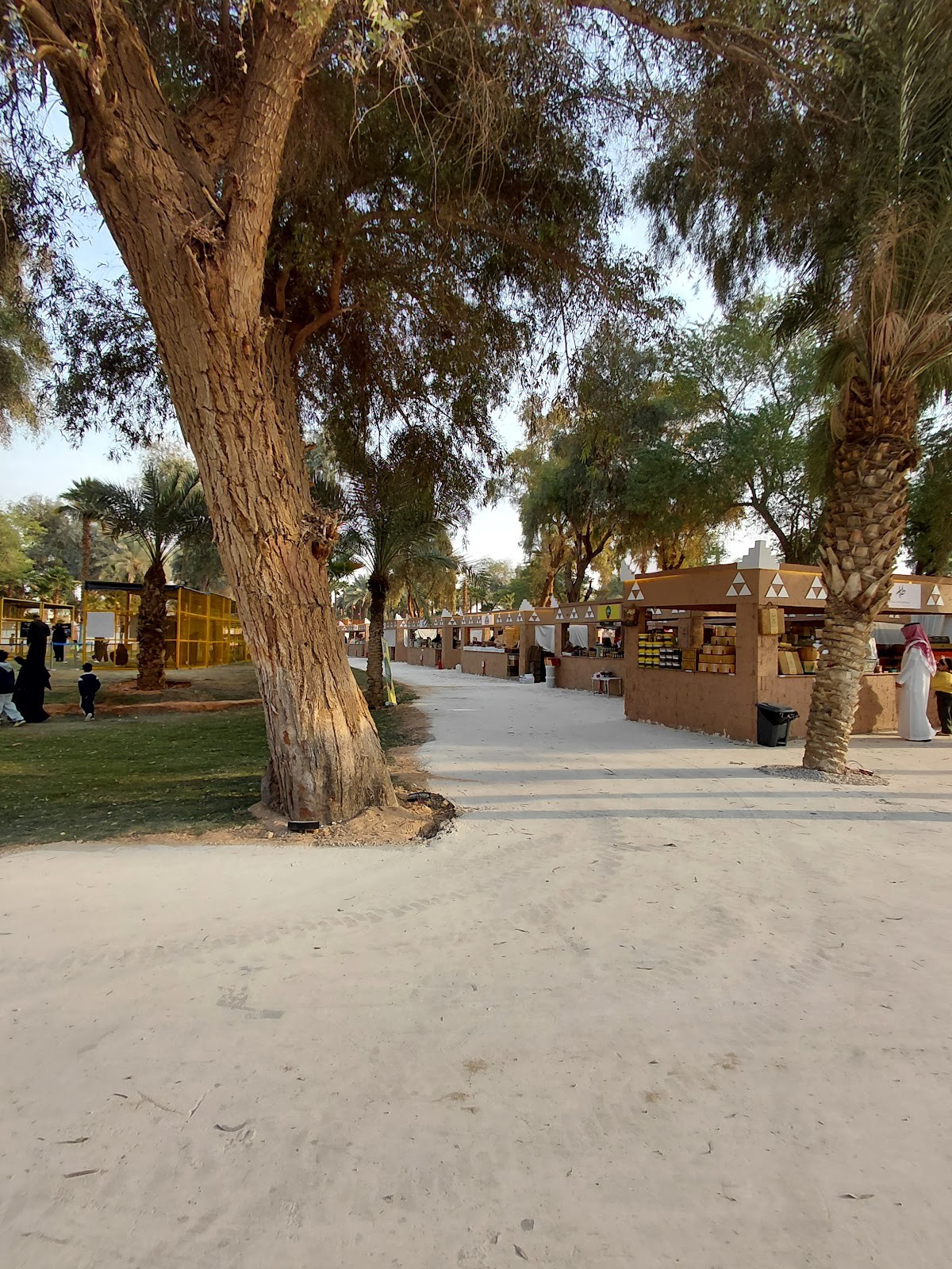 منتزه المشتل — صورة 2