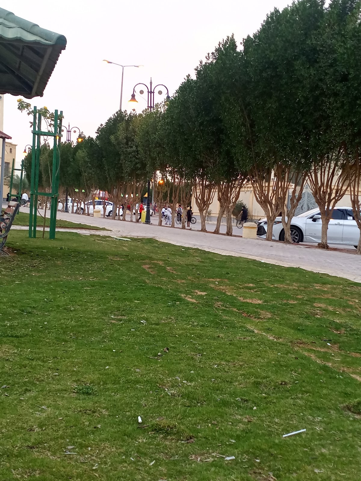 حديقة حي الموسى — صورة 2