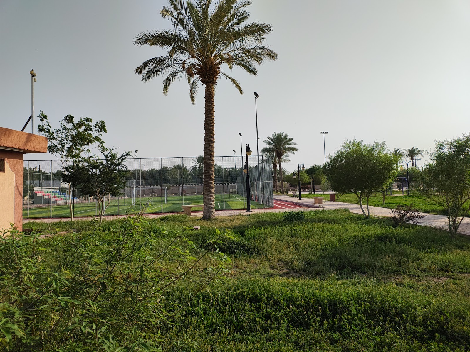 حديقة السلمية — صورة 3