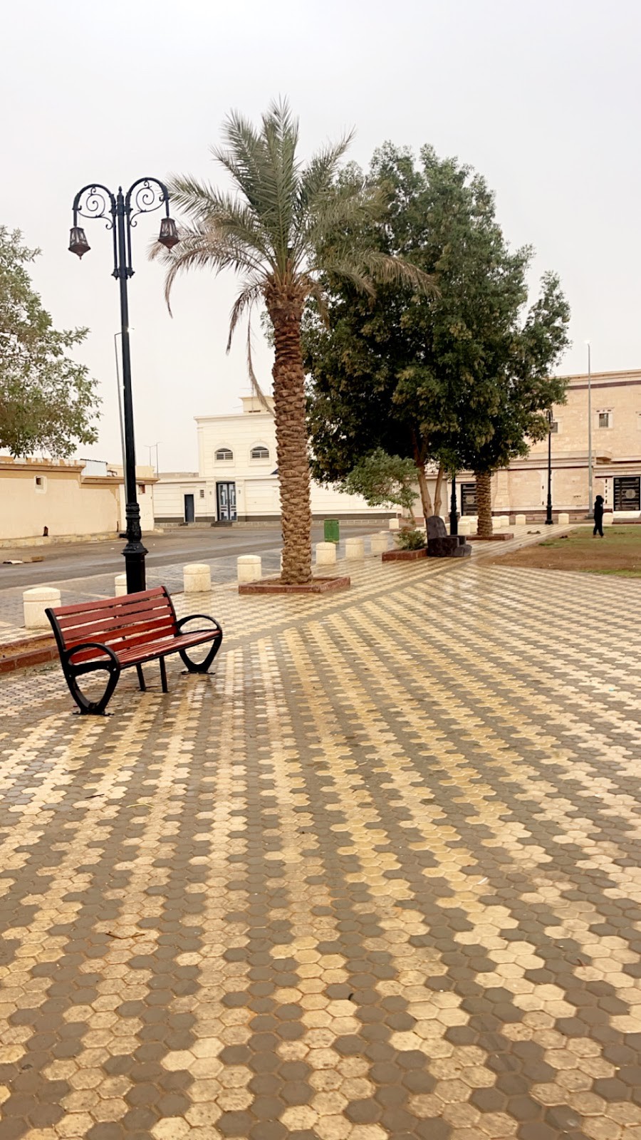 حديقة حي الزاهر — صورة 3