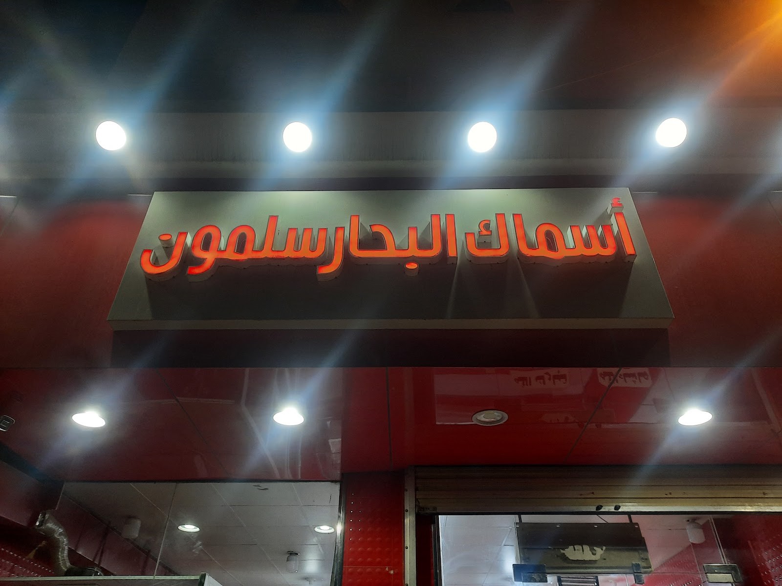 أسماك البحار سلمون — صورة 5