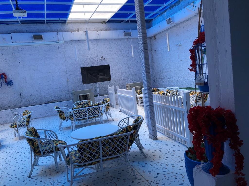 امايا كافيه — صورة 3