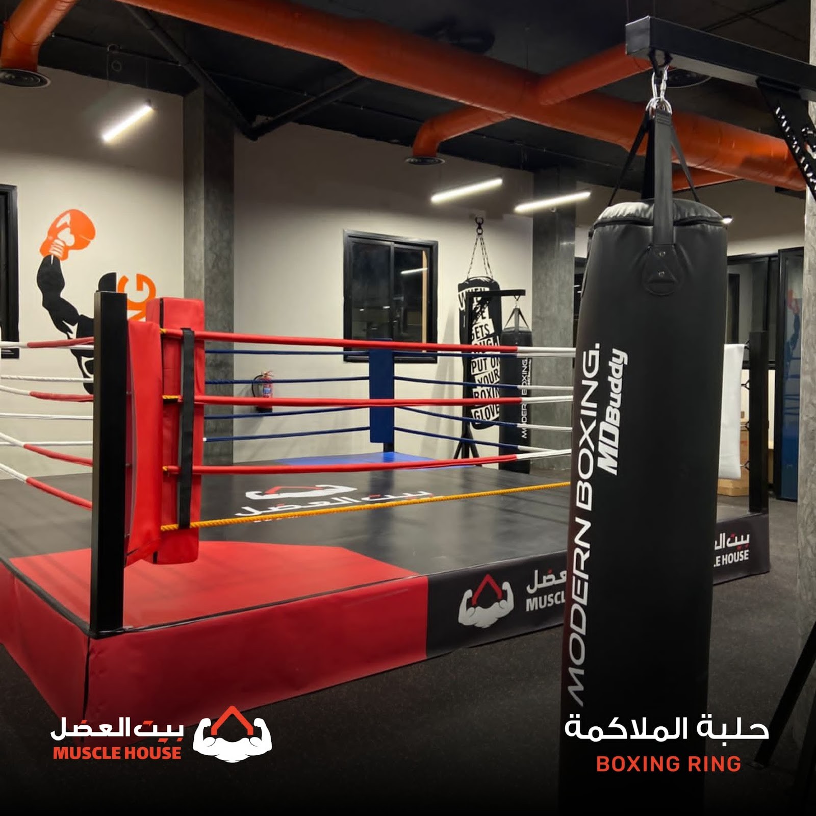 نادي بيت العضل الرياضي Muscle House — صورة 5