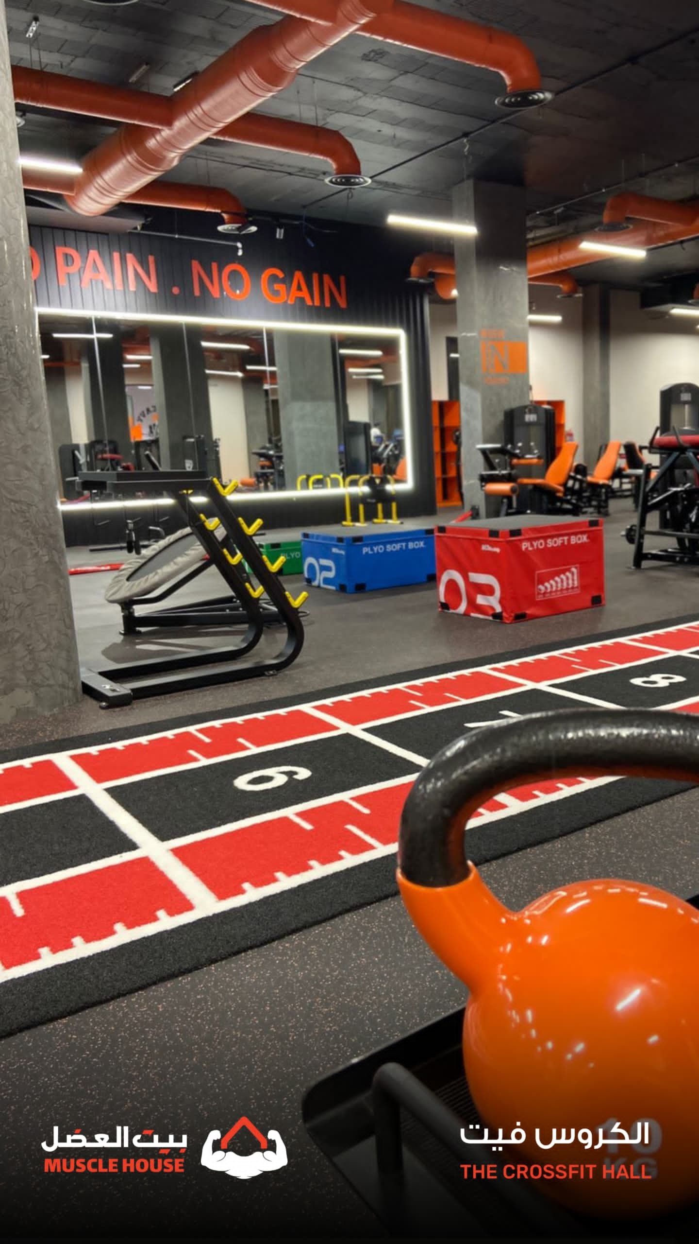 نادي بيت العضل الرياضي Muscle House — صورة 7
