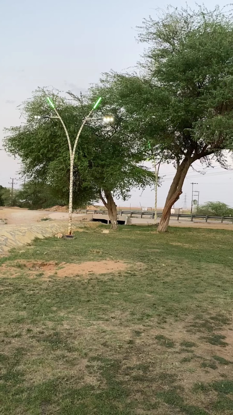 حديقة الضبيعة — صورة 3