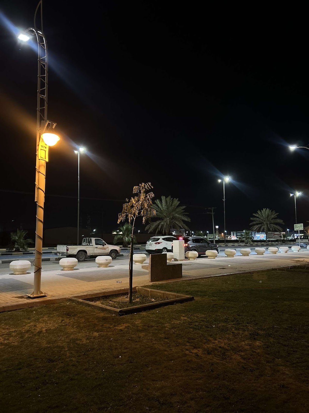 حديقة المركز الحضاري — الدلم — صورة 3