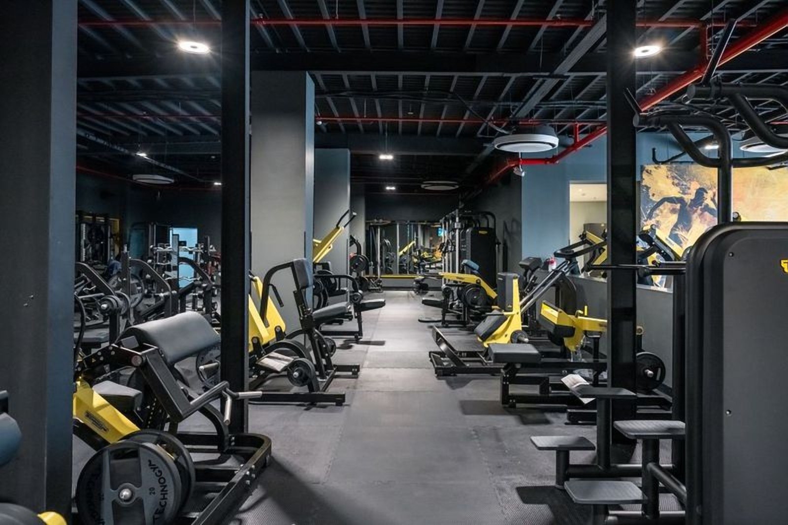 وقت اللياقة إكسبرس Fitness Time Xpress — صورة 2