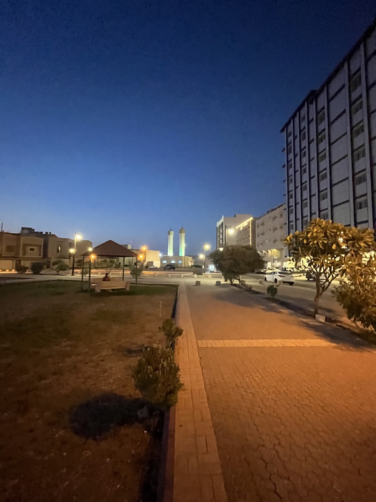 حديقة غرناطة — صورة 2