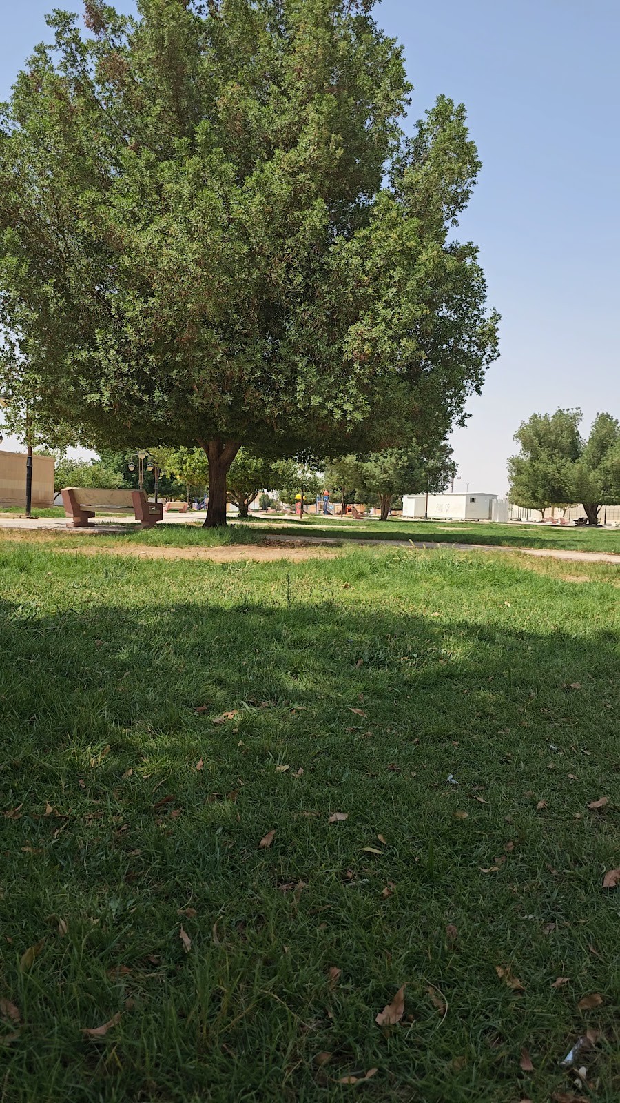 حديقة الهياثم العامة — صورة 3