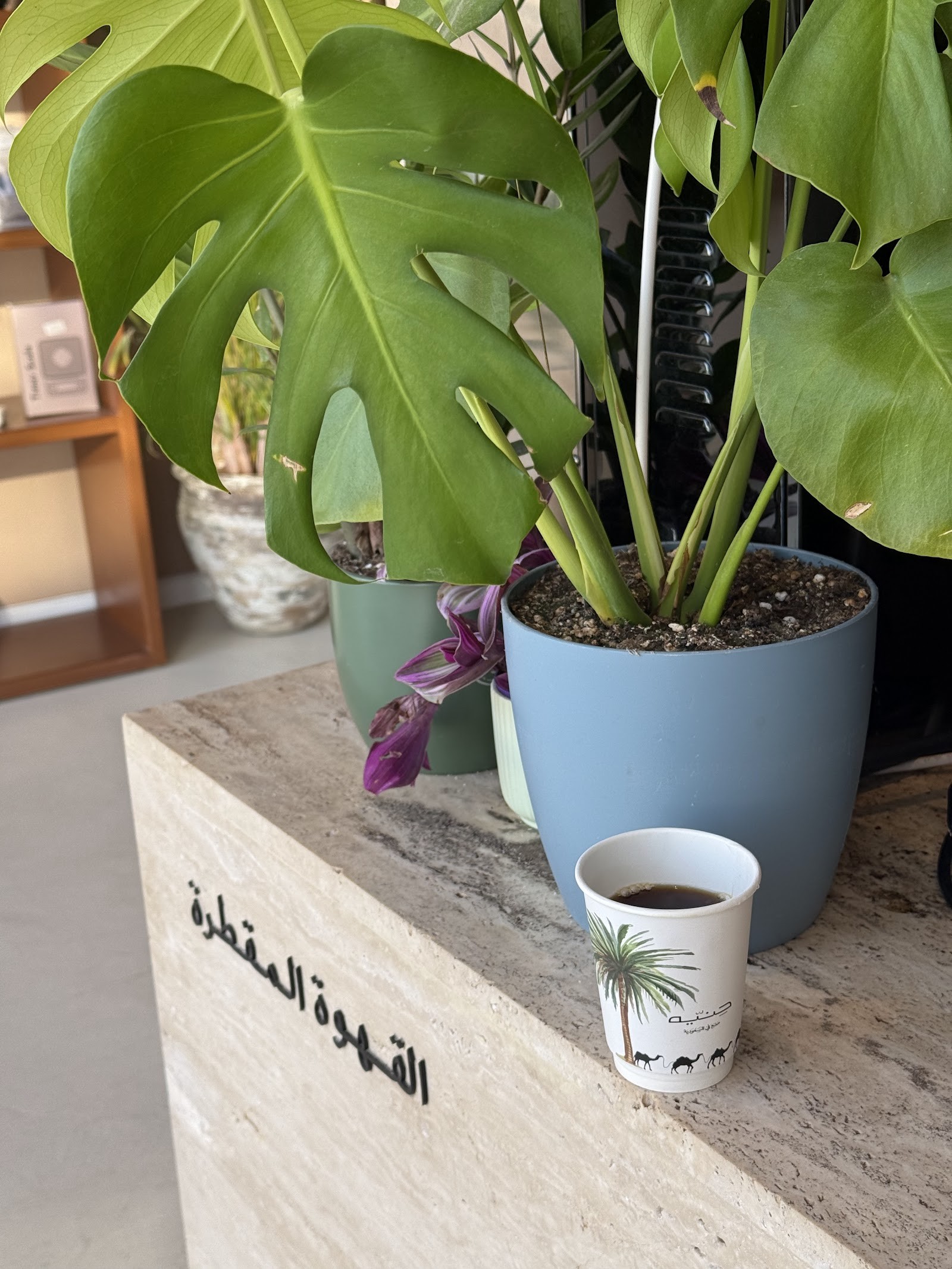 حنيه قهوة مختصة — صورة 2