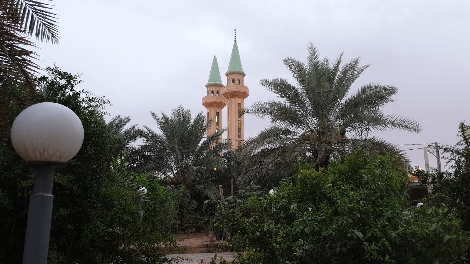حديقة جامع إمام الدعوة — الدلم