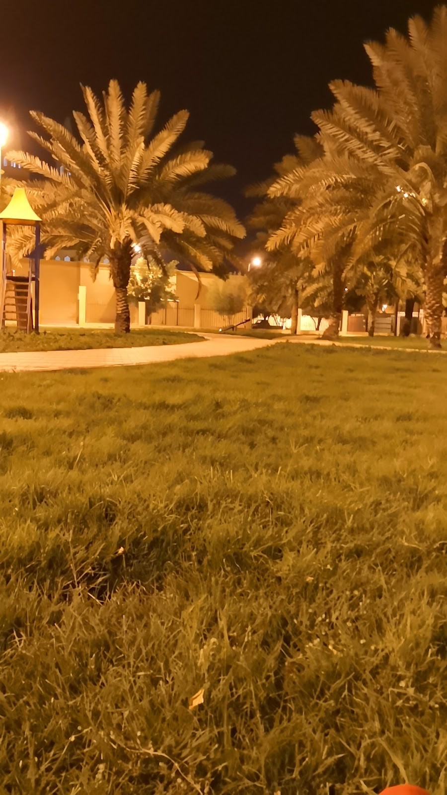 حديقة جامع إمام الدعوة — الدلم — صورة 3