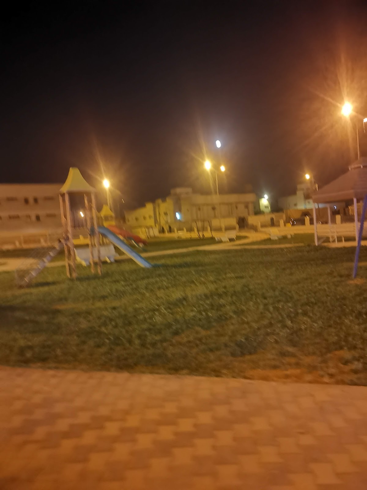 حديقة الازدهار — الدلم — صورة 3
