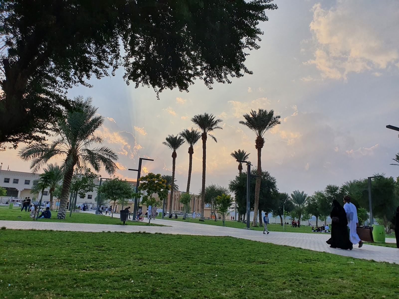 حديقة الملك عبدالعزيز — صورة 2