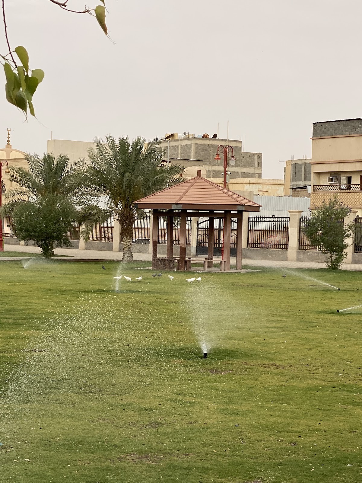 حديقة الملك فهد