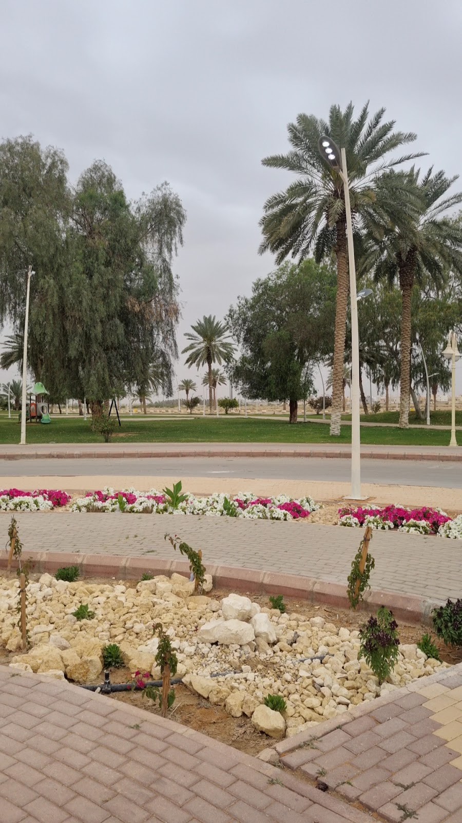 منتزه الملك سلمان (الضاحي) — الدلم — صورة 5