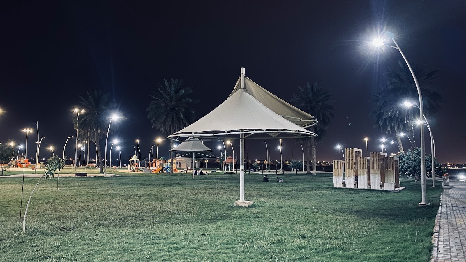 منتزه الملك سلمان (الضاحي) — الدلم — صورة 2