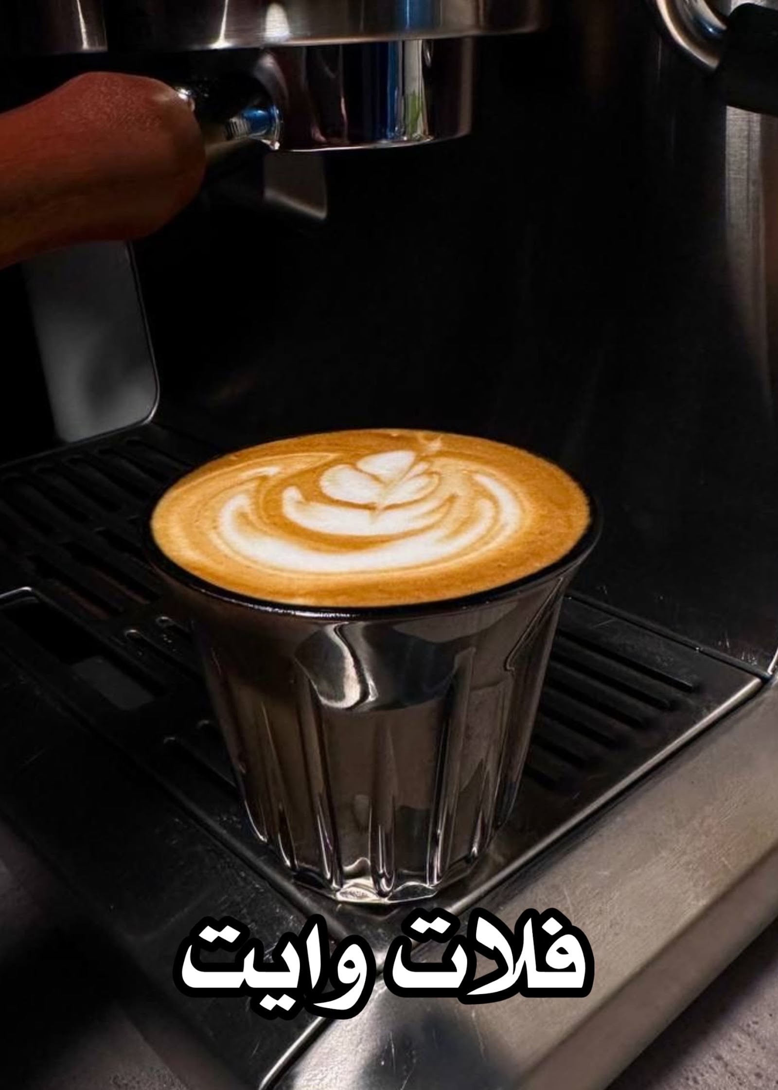 MOFINO COFFEE — صورة 2