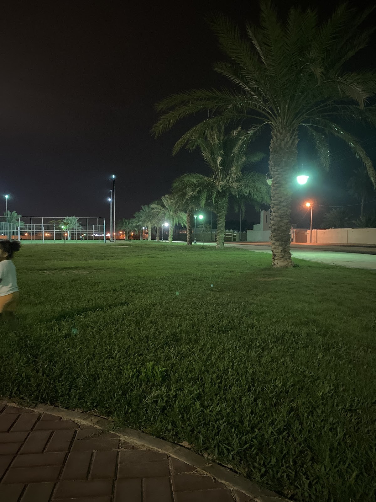 حديقة نعجان