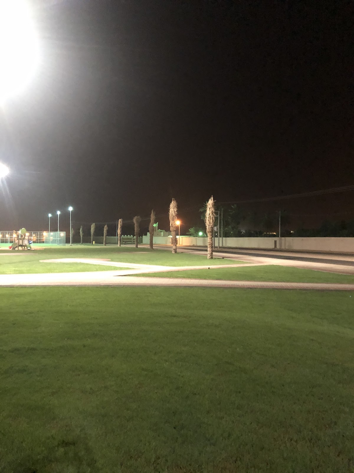حديقة نعجان — صورة 2