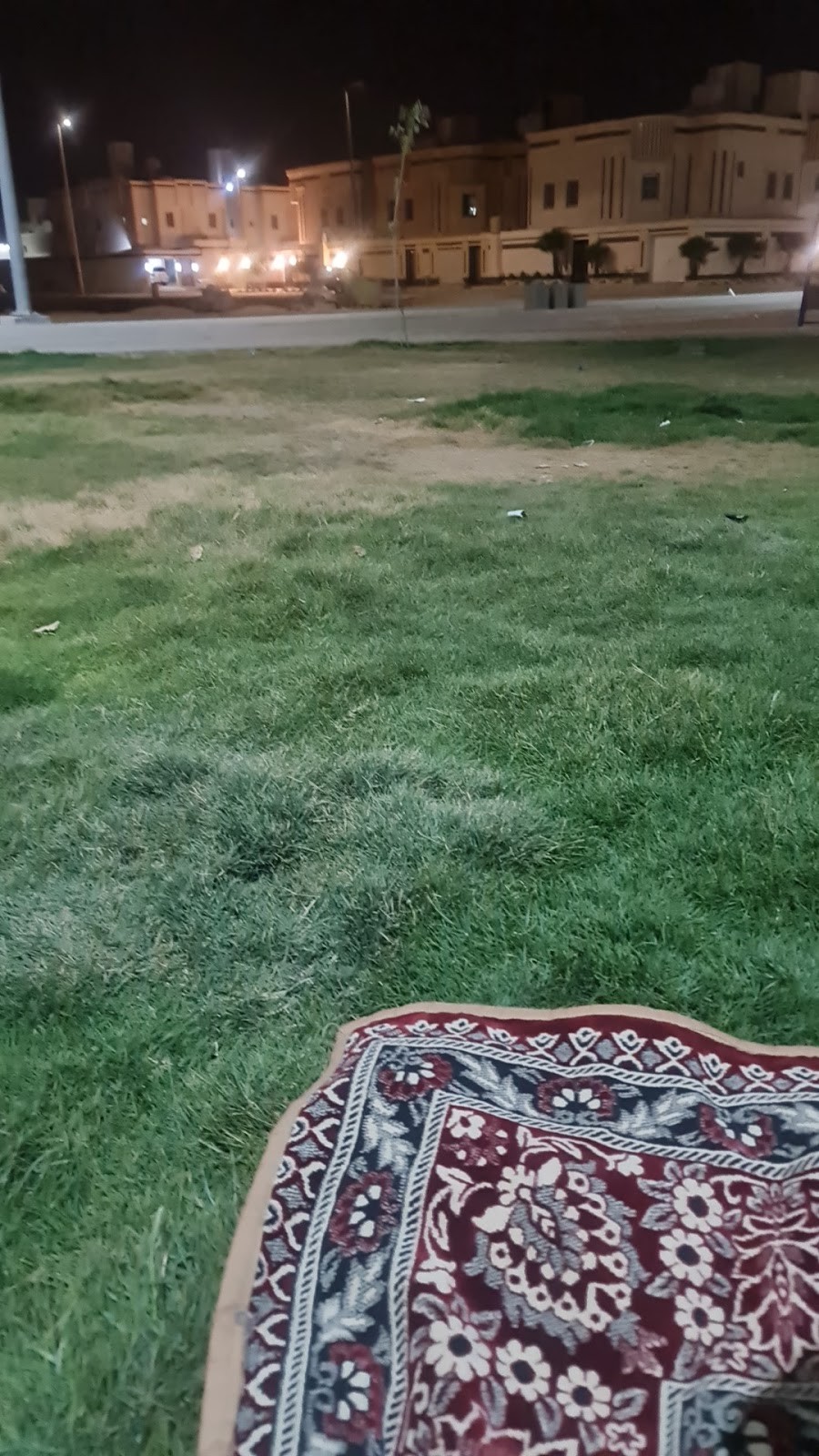 حديقة الصفوة 2