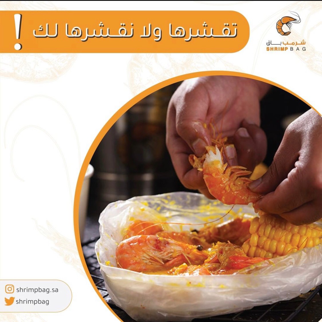 شرمب باق — البرج — صورة 5