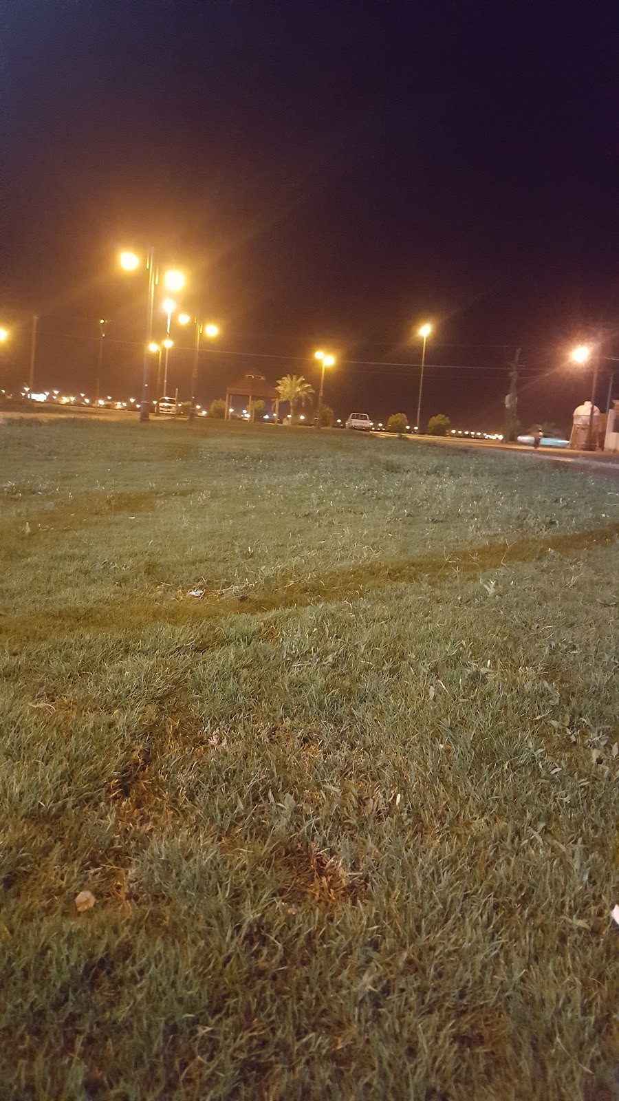 حديقة الصناعية — الدلم — صورة 2