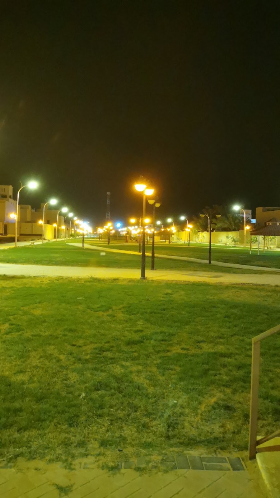 حديقة حي عويسة — الدلم — صورة 4