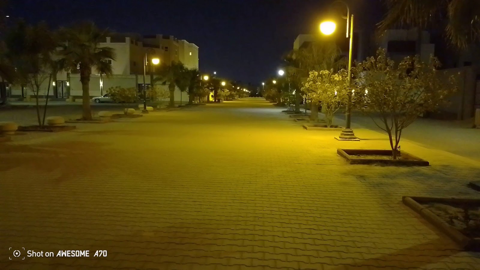 ممشى الورود