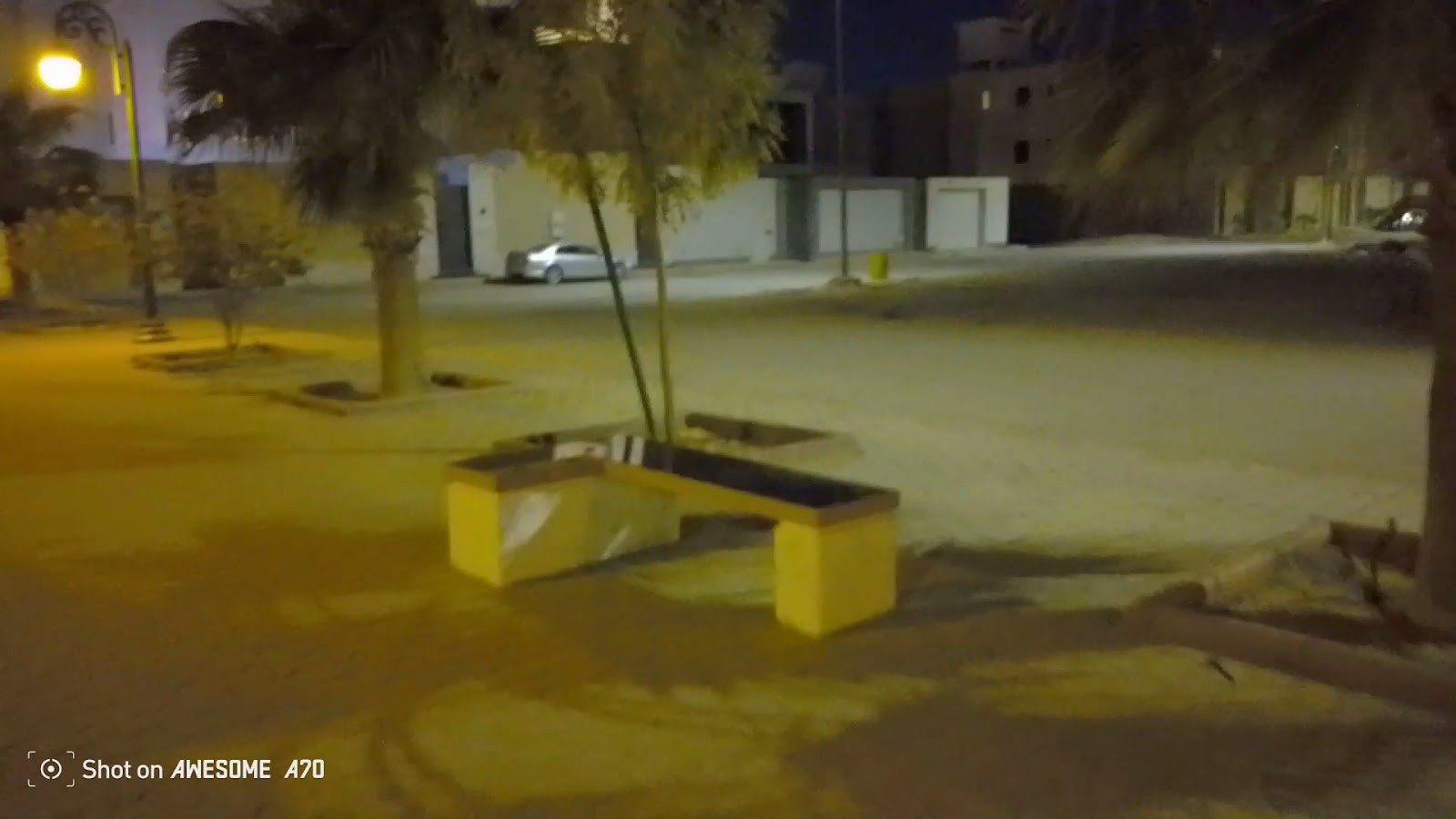 ممشى الورود — صورة 2
