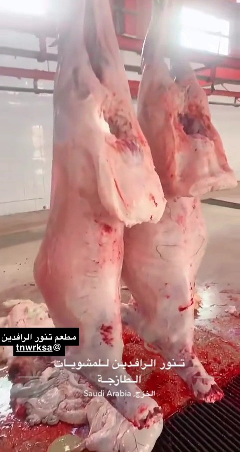 منيو مطعم تنور الرافدين للمشويات الطازجة