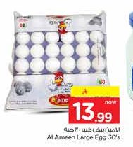 بيض الأمين كبير