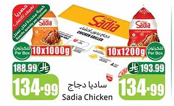 دجاج ساديا مجمد